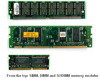 Ram